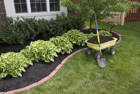 Lawn Care