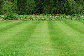Lawn Care